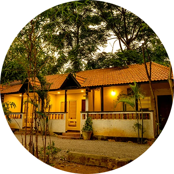 Farmstay chalets glowing warmly at dusk among the trees